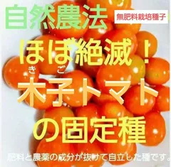 自然農法　木子トマトの固定種10粒以上
