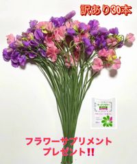 産直！スイートピー専門店lovekazu - メルカリShops