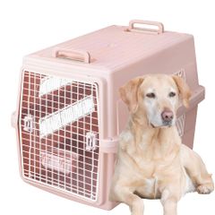 Item thumbnail for item a1d05f95-3fa3-4a6f-817d-58e77ff9ea2b