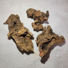天然流木 ランダム3本セット 沈水確認済みのサムネイル