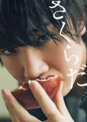 桜田通 サクフェスCD&photo book(^^)⭕サイン付き※CD未開封 楽天市場】サイン 桜田通の通販