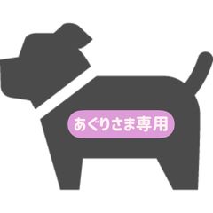 れおたんさま専用です】愛犬の無添加おやつ - メルカリ