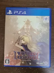 【PS4】ロードス島戦記 ディードリット・イン・ワンダーラビリンス