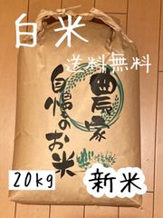 白米　20kg コシヒカリ　新米　栃木県産　令和4年産　送料無料　米　20キロ