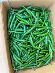 韓国唐辛子 激辛  1kg