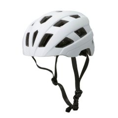 Item thumbnail for item 785e0079-6022-4c5a-80a1-1c17ca4c0483