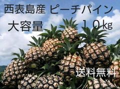 宮古島産 農薬・化学肥料不使用ピーチパイン10kg - メルカリ