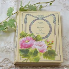 L833洋書古書 【1852年発行】大変希少なイギリスのアンティーク植物