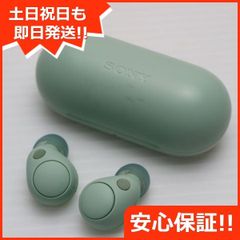 SONY ワイヤレスイヤホン ディズニー ジャスミン コラボ WF-C500
