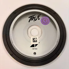 TRUE / アヴィーチー