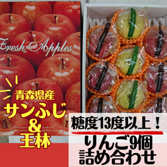 【数量限定品】青森県産　サンふじ　王林　りんご詰め合わせ　3kg（9玉）さんふじ　サンフジ　おうりん　オウリン　りんご　ギフト