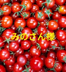 みのさん様専用　３kg＋100g 　クール便