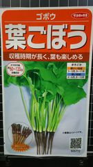 葉 ごぼう 葉ごぼう ハゴボウ 牛蒡 種 ３袋セット