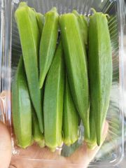 オクラ（約 1ｋｇ）ネバネバの強い露地栽培　スポット入荷!