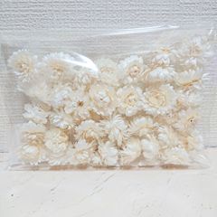 大地農園 ヘリクリサム・ヘッド ホワイト 新品1袋