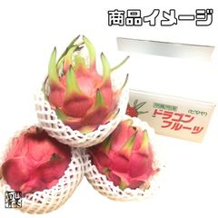 安心♪新鮮♪大玉❣️樹実り完熟レッドドラゴンフルーツ（常温）箱込み5K 安心♪新鮮♪大玉❣️樹実り完熟レッドドラゴンフルーツ（常温）箱込み