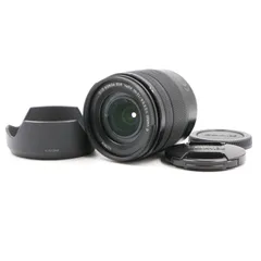 2025年最新】lumix g vario 12-60の人気アイテム - メルカリ