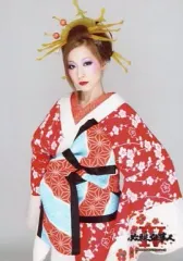 【中古】生写真(AKB48・SKE48) 伊藤愛/「PS3 ぱちんこ必殺仕事人IV」購入特典生写真