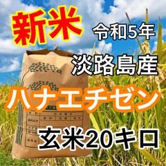 新米　令和5年産　淡路島産　ハナエチゼン　玄米20キロ　産地直送