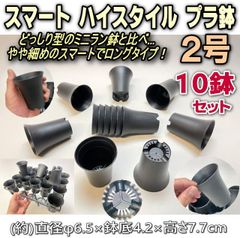 スマートハイスタイル2号プラ鉢-黒-10鉢セット※ミニラン鉢系スマートロングタイプ＊多肉植物・塊根植物コーデックス・アガベ・サボテン・観葉・ハオルチア・アデニウム・パキポディウム・実生@フラワーショップ江口
