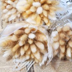 ドライフラワーブーケ ミニブーケ ブーケ ラグラス 花束 ドライフラワー 花材 くすみ系 プレゼント 卒業式 入学式 誕生日 1-E