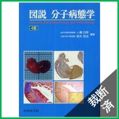 【裁断済】図説　分子病態学 4版