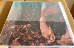新品 レコード ポリドール盤 スピッツ 花鳥風月 LP 二枚組 アナログ盤 芽瑠璃堂 ＞ スピッツ 『花鳥風月+ (重量盤2LP)（12インチ