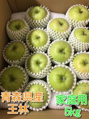 青森県産りんご「王林」家庭用 キズ有 約5kg【フルーツキャップ詰め】