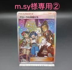 m.sy様専用②