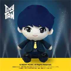BTS TinyTAN SUGA 뿌리누이 봉제인형 앉아 사이즈
