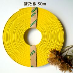 Item thumbnail for item a107bf5d-af63-4e93-bc64-7267288ec138