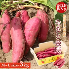 【訳あり】さつま芋 鳴門金時 洗い 3kg M Lサイズ 徳島県 鳴門 里浦産 美味しい 芋 さつまいも なると金時 焼きいも サツマイモ 国産 生芋 薩摩芋 農家直送 吉岡さんちのなると金時 宅急便のサムネイル