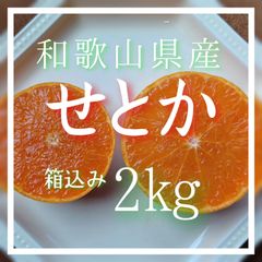 せとか 箱込み2㎏ 和歌山