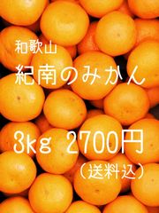 温州みかん 3kg