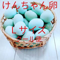 ☆★クール便★☆　けんちゃん卵L20個　平飼い　朝採れ　あすなろ卵鶏　たまご　玉子　青い卵　特殊卵