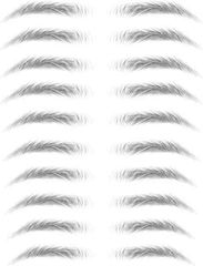 Item thumbnail for item 8342ca6e-78e5-4007-91b3-f827174a0e5b