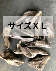 南信州産 天然流木 いろいろ流木 【アソート１０個セット】【サイズ ＸＬ】 格安まとめ売り 大きめ流木 淡水流木 川流木 根流木 平流木  変形流木