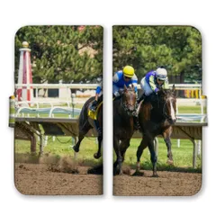 Galaxy A21 A20 SC-42A SC-02M SCV46 ケース 手帳型 ギャラクシーA21 スマホケース 携帯ケース 馬 競馬 乗馬 写真 ウマ おしゃれ カッコイイ かっこいい サラブレット 写真 カラー01