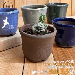 HATIMANIA 鉢マニア  ウチョウラン ウ泥 3.5号 鉢づくし 盆栽鉢 観葉植物 サボテン 多肉植物 ミニ盆栽 Sサイズ 三重県 国内ブランド ハチマニア 陶器 ミニ植物 ミニプランター 鉢植え 穴開き コンパクト 区分60Y UD513-3-5のサムネイル