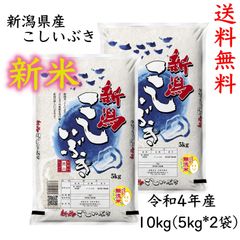 【特価】無洗米 こしいぶき 10kg (5kg×2袋) 令和4年産 新潟県産 米