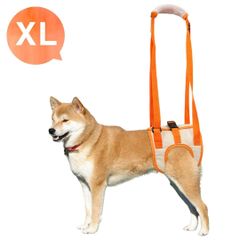 Item thumbnail for item ad3af6a5-8ad5-40a3-9985-87b3cf211a72