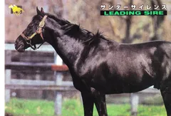 2026年最新】サンデーサイレンスの人気アイテム - メルカリ