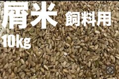 chocoさん専用デス。もち米・緑米・10kg