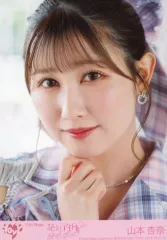 【中古】生写真(女性) 10：イコールラブ(=LOVE)/山本杏奈/CD「絶対アイドル辞めないで」初回仕様限定盤TYPE-A(VVCL-2518～9)封入特典生写真