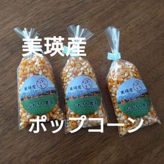 美瑛産 ・     はじける！香ばしいポップコーン【100g×3】