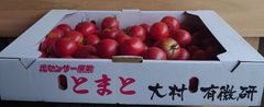フルーツトマト 長崎県産 バラ 4kg