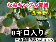 青梅 8キロ 西吉野産 6月上旬発送 なおキング