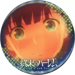 貴重 週末のハーレム 缶バッジ まとめ売り 終末のハーレム 缶バッジ