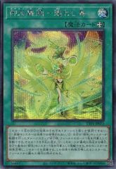 御巫舞踊－迷わし鳥 TTP1-JP071 【シークレットレア】 TACTICAL-TRY PACK －黒魔導・ＨＥＲＯ・御巫－ 遊戯王　トレカ道