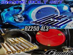 RZ250 4L3 専用 ステンレス製  ボルト エンジンボルト フランジボルト